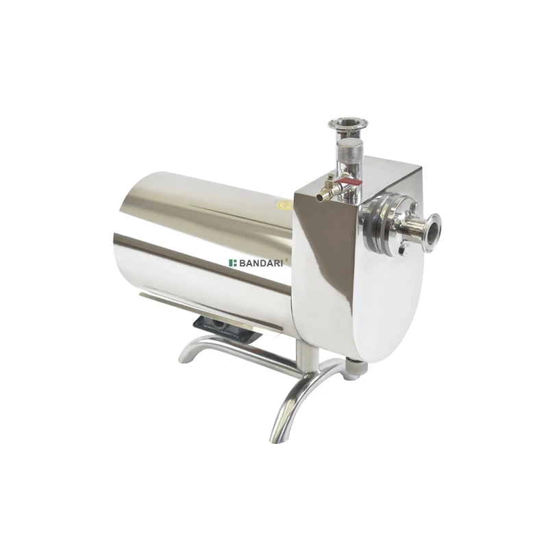 304 Sanitary Stainless Steel DC Self-priming Pump High Pressure Automatic High Head Pipeline Self-priming Pump