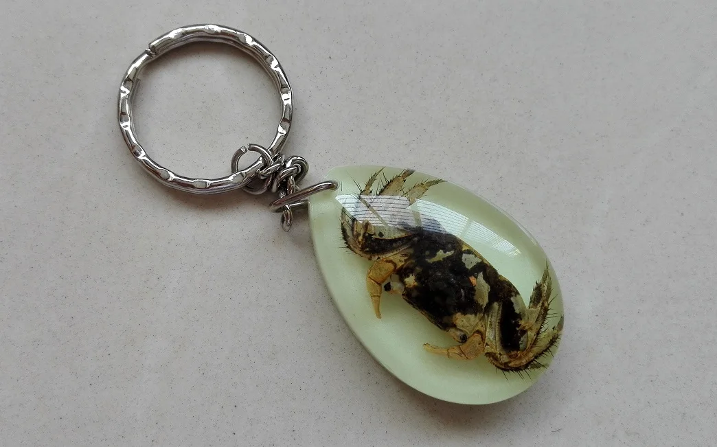 13pcs Keychain Amber Insect Black Scorpion Amber Resin Adjustable Keychain Pendant with Insect Samples Birthday Gifts for Lovers