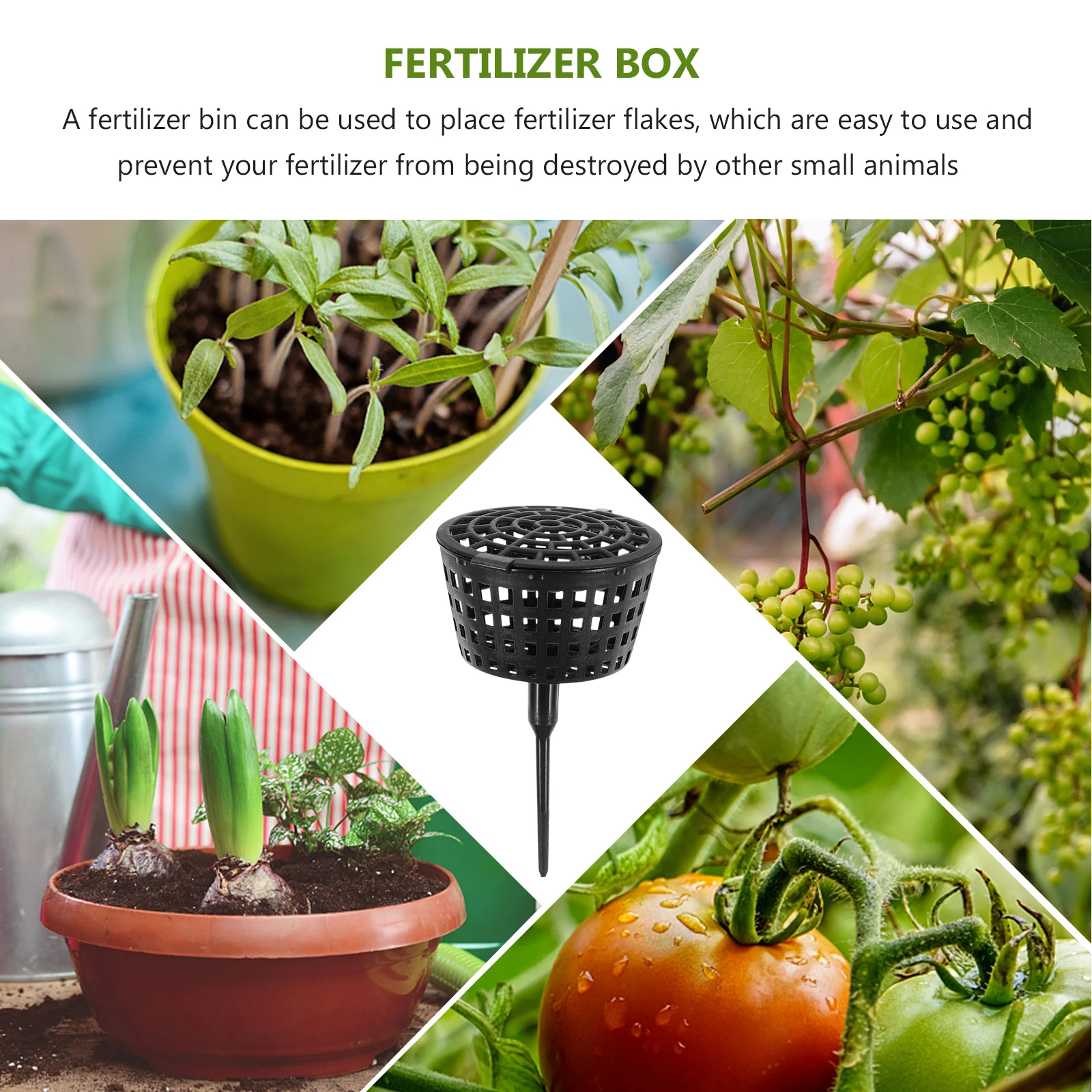 10Pcs Fertilizer Box Gardening Supply Easy Use Design Suitable Bonsai Flower Orchid Small Plant Accessories Fertilizer Box