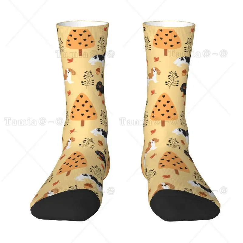 

Cavalier King Charles Spaniel In Autumn Mens Crew Socks Unisex Fashion 3D Print Cartoon Dog Dress Socks