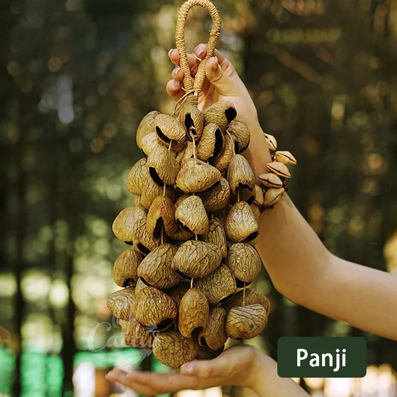 

Fruit Shells Hand Bell Outdoor Sound Beam Nut Shell Handmade Chimes Sound Healing Outside Wind Music Meditation Bell Accessories