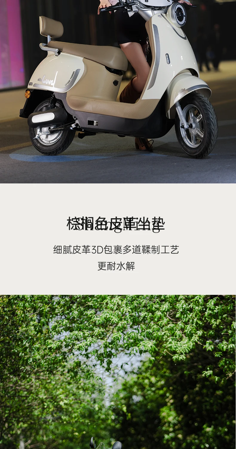 CL 新しい電動バイク男性と女性のバッテリー車長いバッテリー寿命電動バイクは高価値を獲得することができます