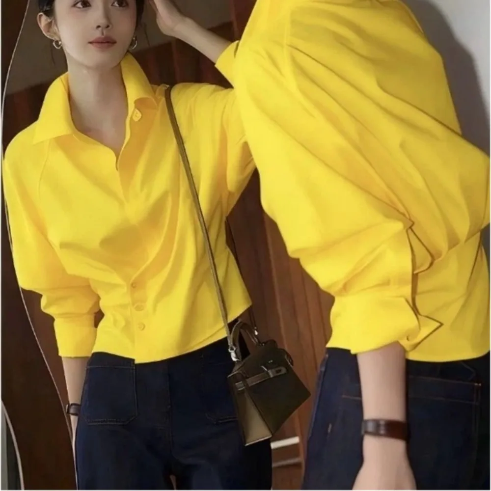 

Women's waist cinched top Long sleeve Solid Autumn color new style Turn-down Collar Long sleeve irregular Fashion Simplicity