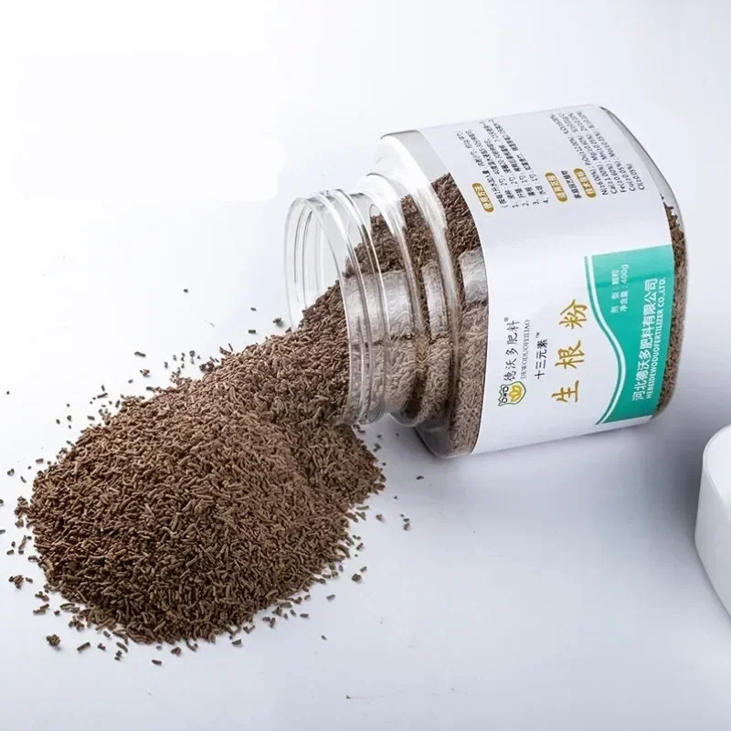 400 جرام غيبكربور تربية نباتية بونساي هورمونيا #4