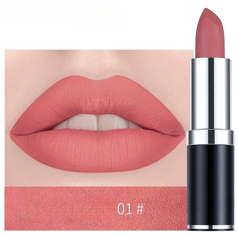 Matte Lipstick Long-Lasting Waterproof Lipstick Smudge-Proof Classic High-Pigment Velvety Texture Lip Gloss Makeup