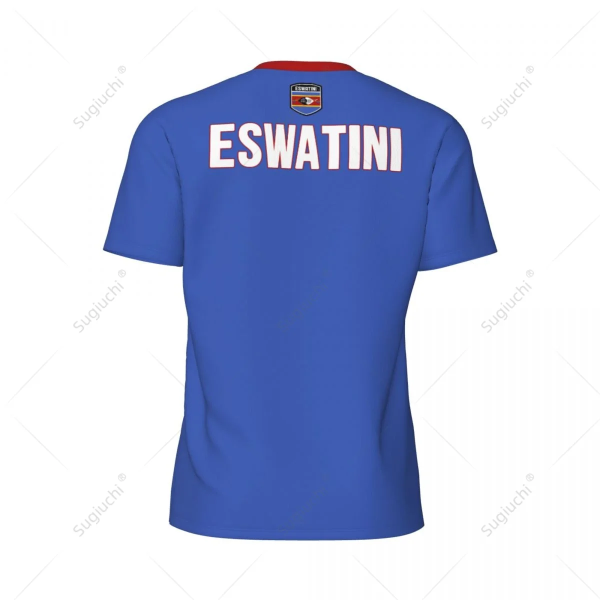 Sports Mesh T-shirt Eswatini Flag For Running Bike Soccer Tennis Football Fitness Tees 3D Printed Custom