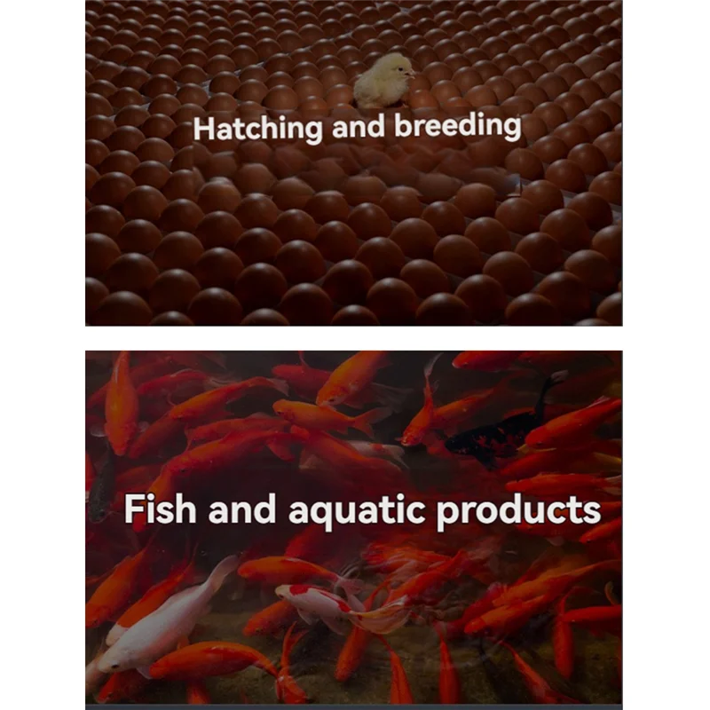 DTC2210 المنزل الذكي اللاسلكي واي فاي متحكم في درجة الحرارة، DS18B20 الاستشعار مجهزة، لأحواض السمك