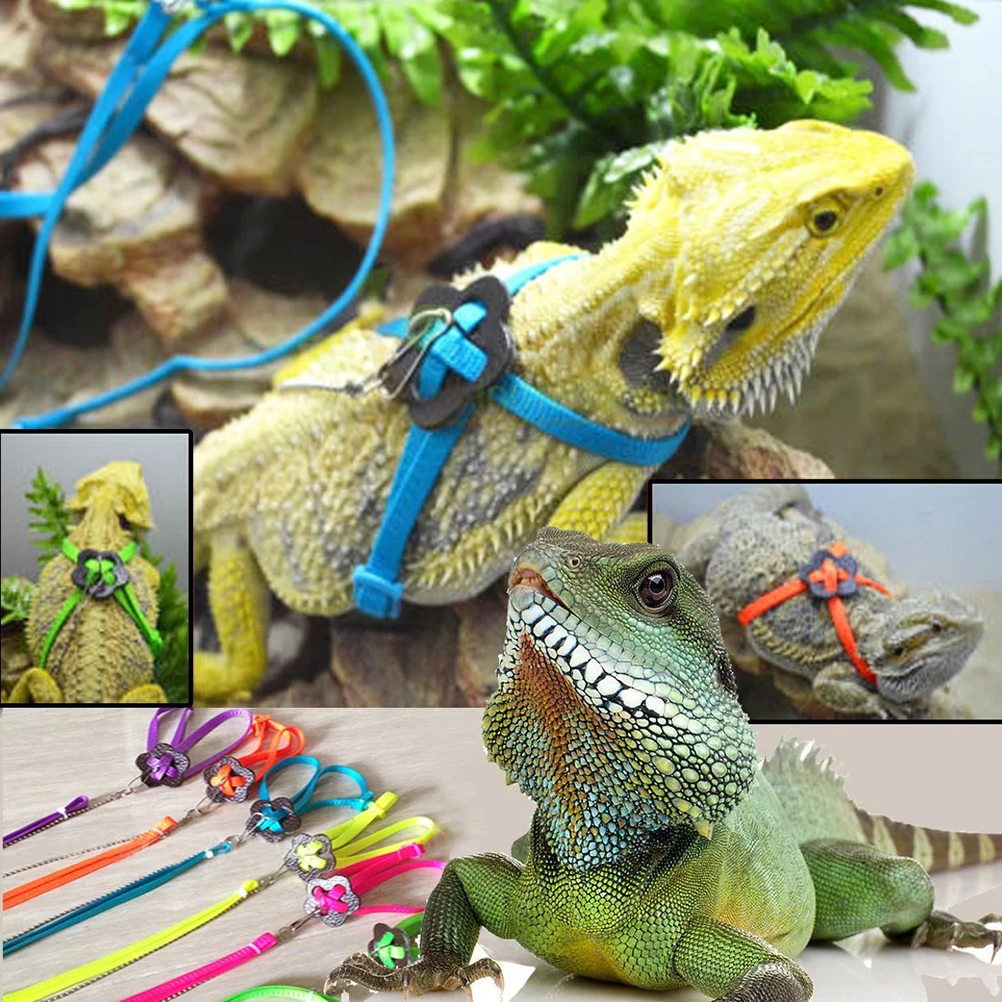 

Adjustable Reptile Harness Leash 0 7cm Width 40cm Harness 80cm Leash Fits Small Animals Below 23cm Chest Practical Training Pet
