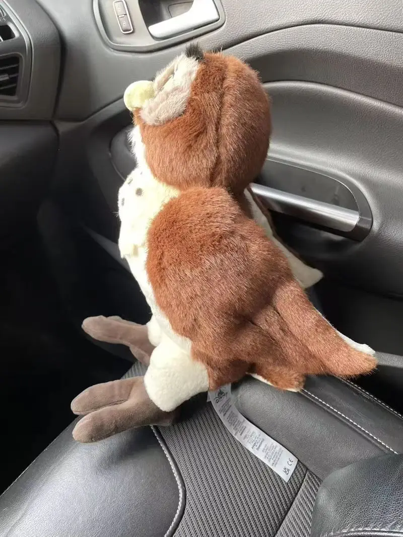 35 سنتيمتر ويني ذا بوه الدب صديق البومة ألعاب من نسيج مخملي الحيوان محشوة ألعاب الدمى الناعمة لهدية عيد ميلاد