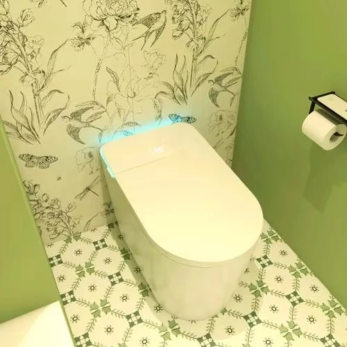 

High-End Automatic Sanitary Ware Intelligent WC Remote Controlled Ceramic Bathroom Hanging Wall P-Trap Seat Heating Elongated