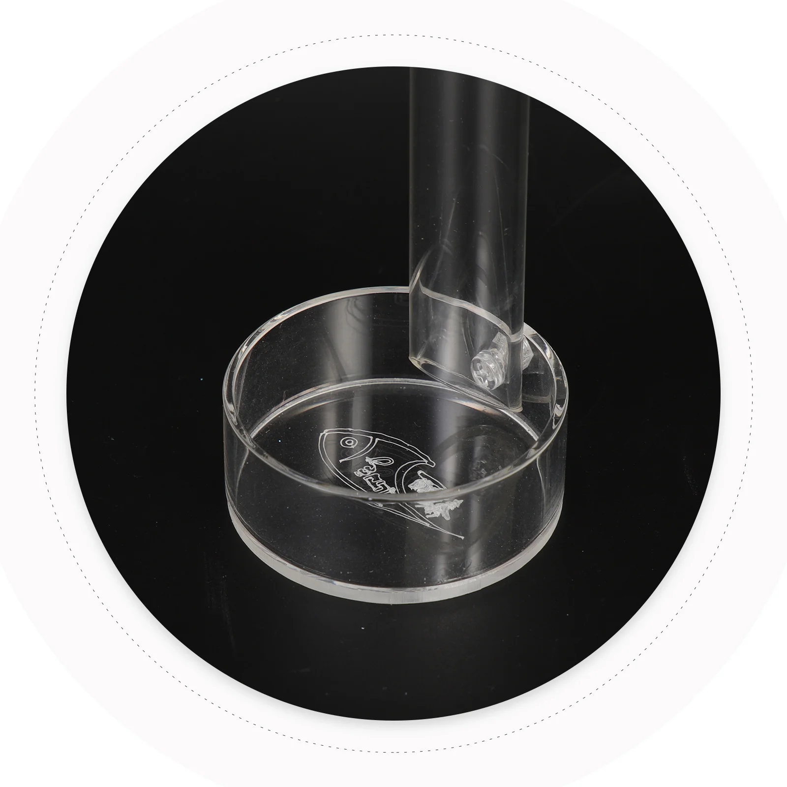 

Shrimp Feeding Tube Small Fish Feeder Tank Breeding and Aquarium Food Glass