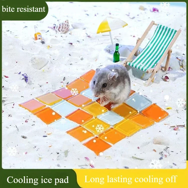 

Hamster Cooling Ice Pad Rabbit Golden Bear Summer Cooling Plate Crystal Cooling Mat