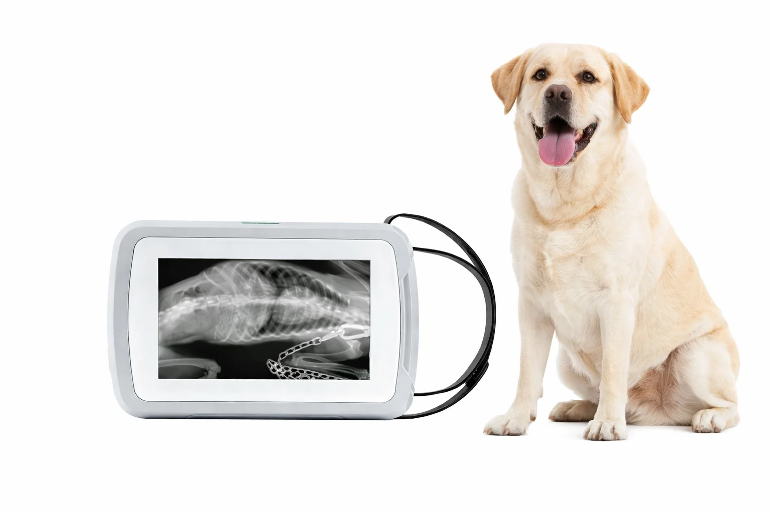 Tragbares digitales Röntgenger – Veterinary X-Ray Bewertung und Preis