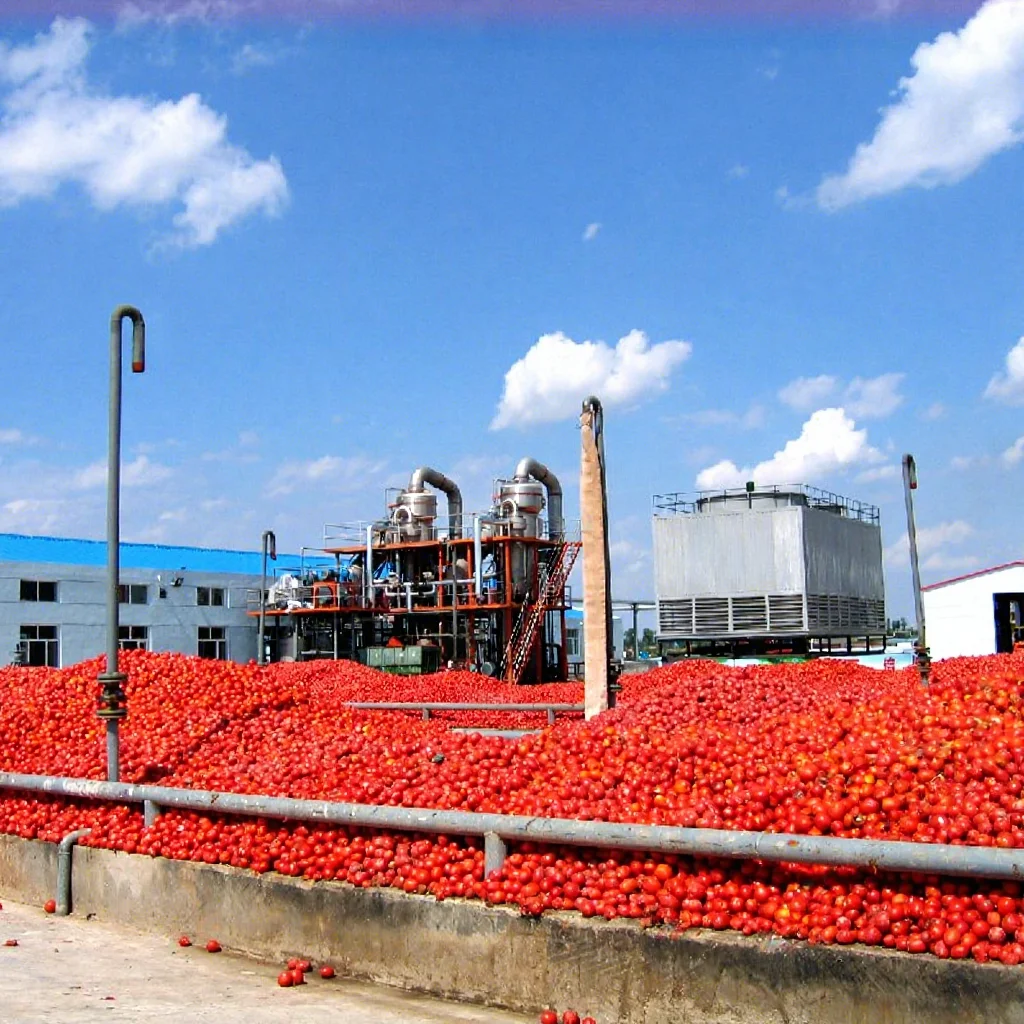 FOODLINE Fully Detachable Tomato Sauce Maker All Food Grade Stainless Steel Parts Deep Clean Processing Unit