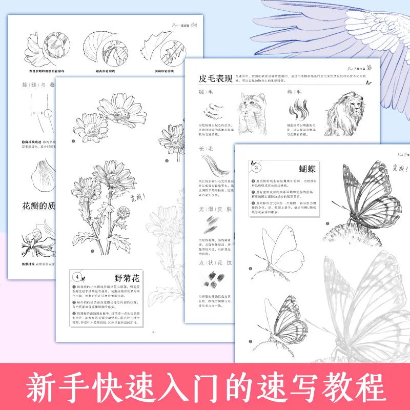 2 Books/Set 100 Kinds Of Animals and Flowers Sketch Line Drawing Copy Album Zero Basic Sketch Flower Pencil Drawing Art Book