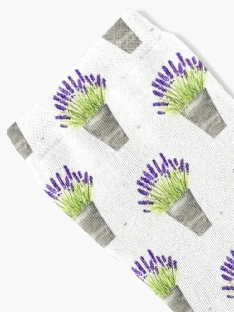 Lavender pot watercolor Herbs Purple Flowers Kitchen Socks gift fashionable Stockings man Boy Child Socks Women's