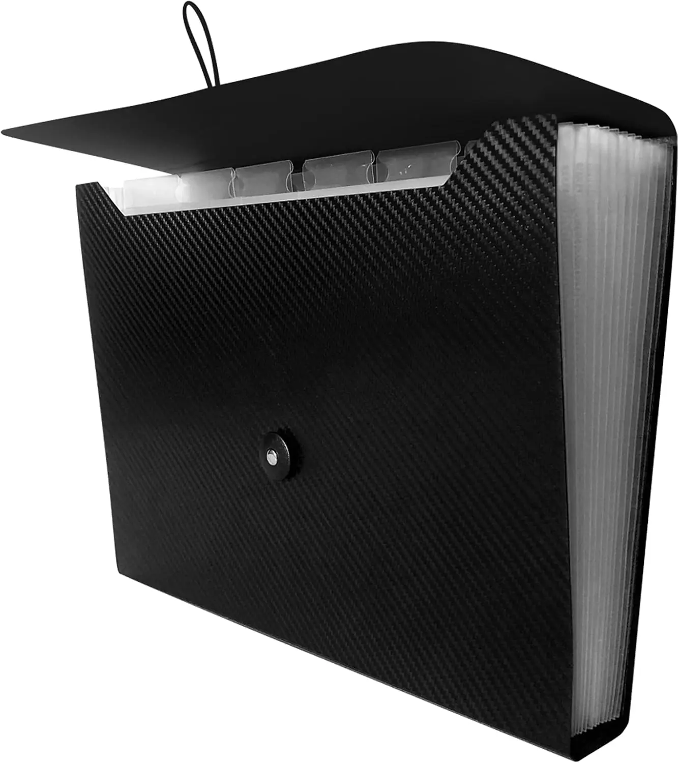 

13-Pocket Expanding File Folder with Tabs, Elastic Closure, A4 Document Organizer for Home Office School