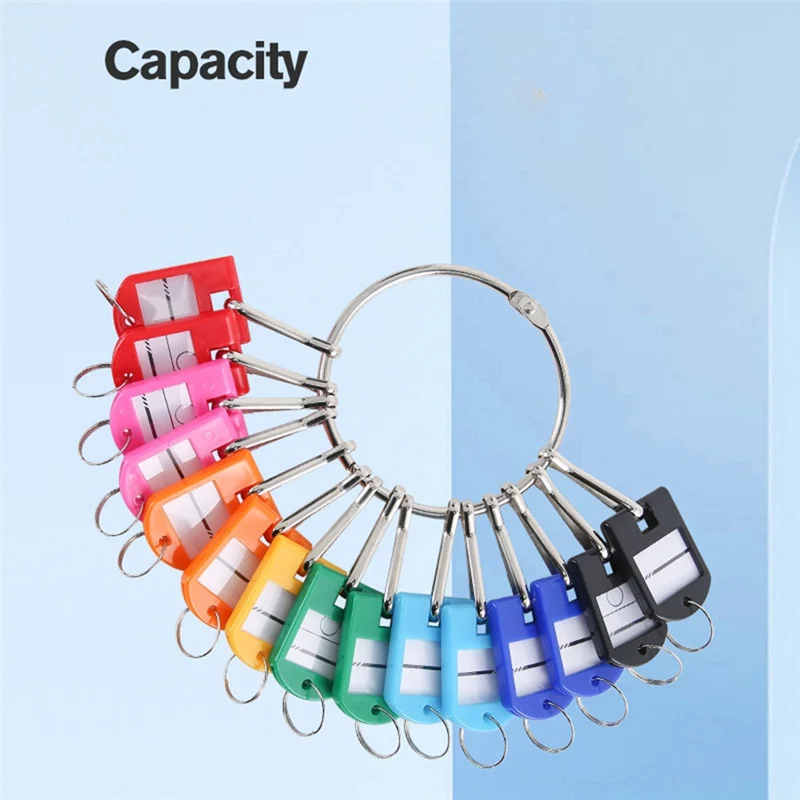 Portable Metal Ring Key Organizer with 20 Spring Hooks & Key Tags with Ring and Label Window