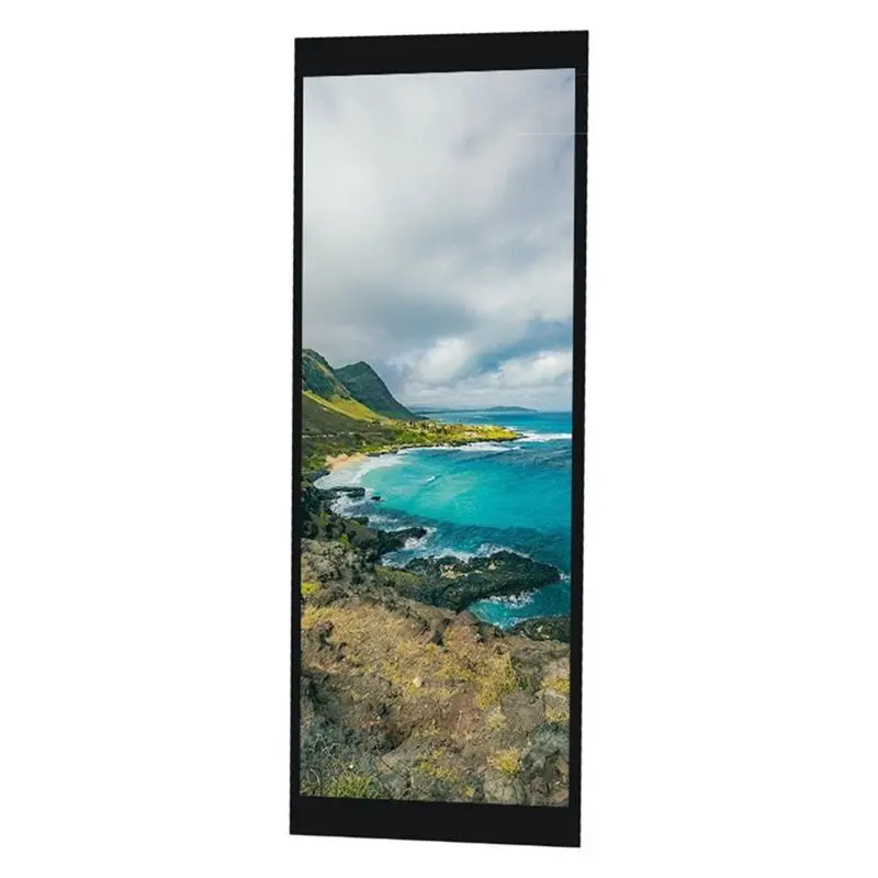 6.9 Inch MIPI Interface 480X1280 High Brightness LCD Display Capacitive Touch TFT LCD Screen Assembly