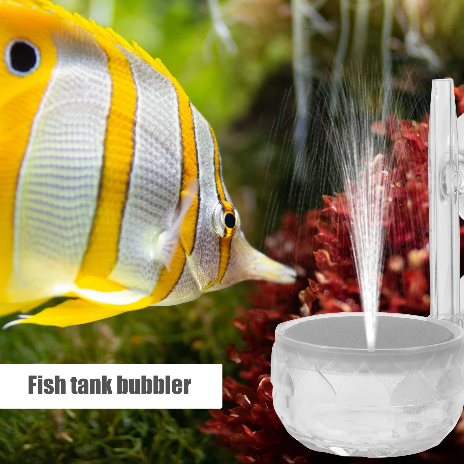 

Aquarium Air Stone Oxygen Diffuser Fish Tank Bubbler Hydroponic System Circulation Uniform Small Dense Bubbles Lightweight