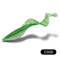 CA06