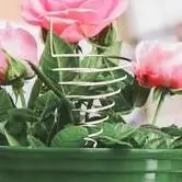 

Cone Fibonacci Coil Winding Jig Enhance Plant Growth and Vitality Gardening Copper Wire Fixture Coil Tools Copper Wire Mold