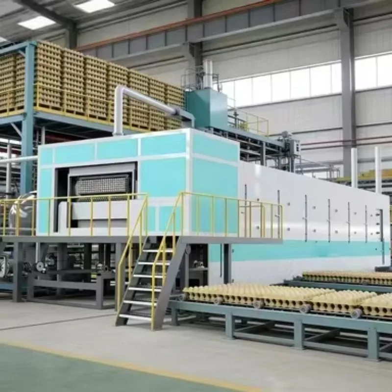 Fully Automatic Egg Tray Making Machine Moulding Production Line Paper Pulp Forming Equipment For Chicken Farm Crate Box