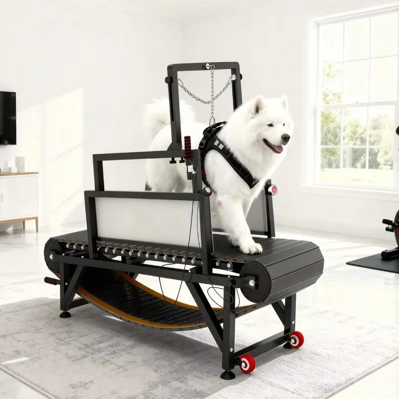 

Dog Treadmill for Medium/Large Dogs - Quiet Exercise, Claw Grinding and Endurance Training, Smart Operation, Multiple Styles,
