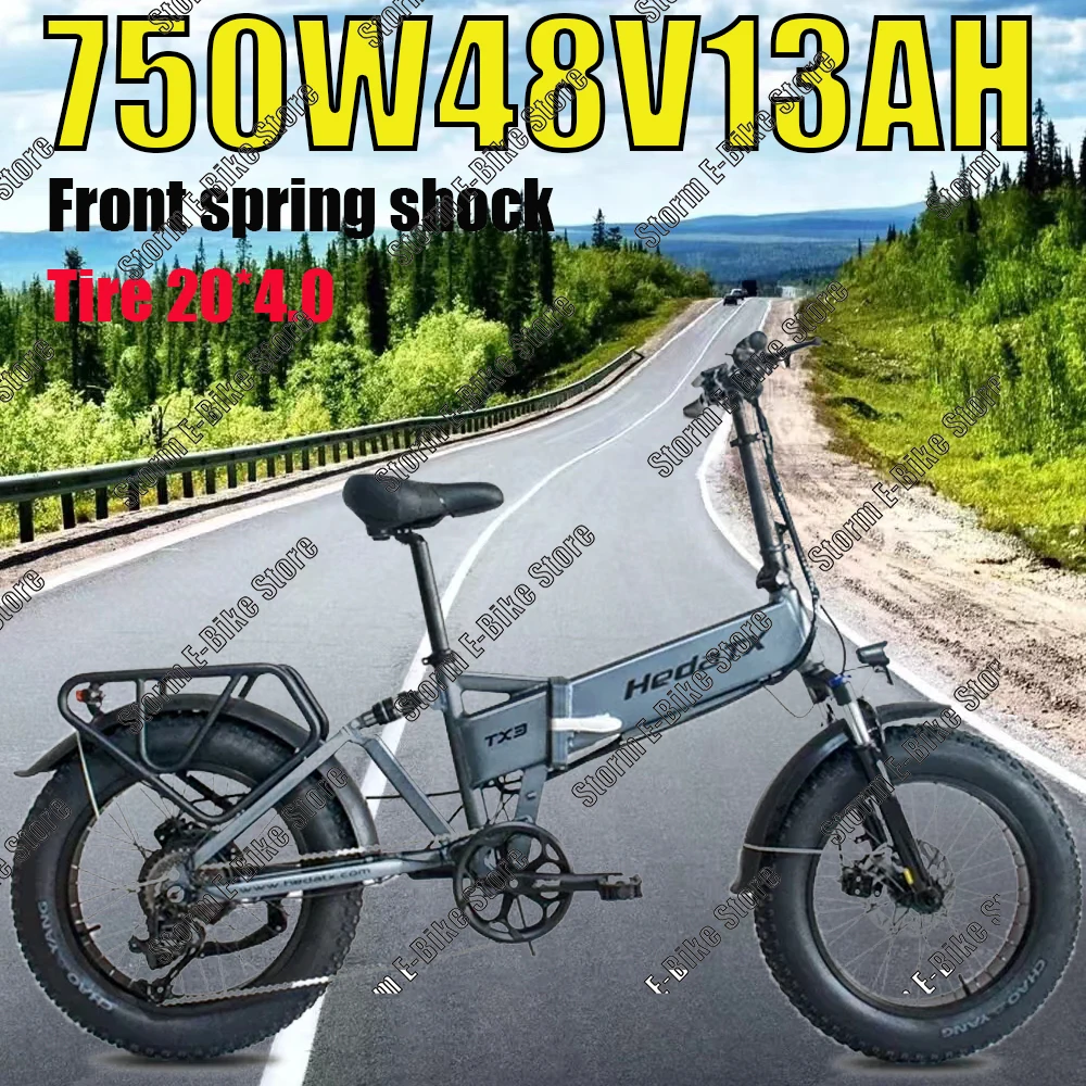 TX30 2024 Folding Electric Bike 20 Inch Fat Tire Electric Bike 750W 48V 13AH Convenient and Popular Electric Bike in the City