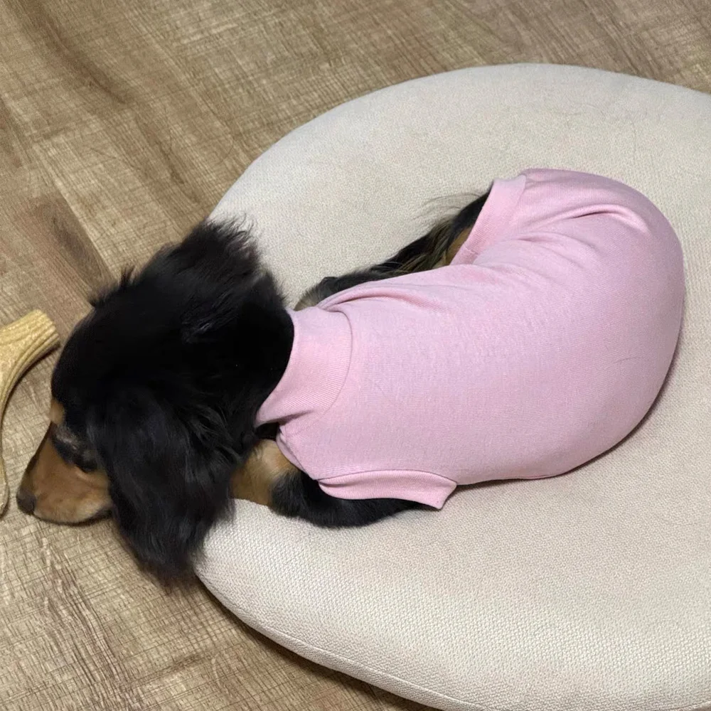 Pijama de algodón para Dachshund miniatura – Ropa de verano para perro salchicha - imagen 3