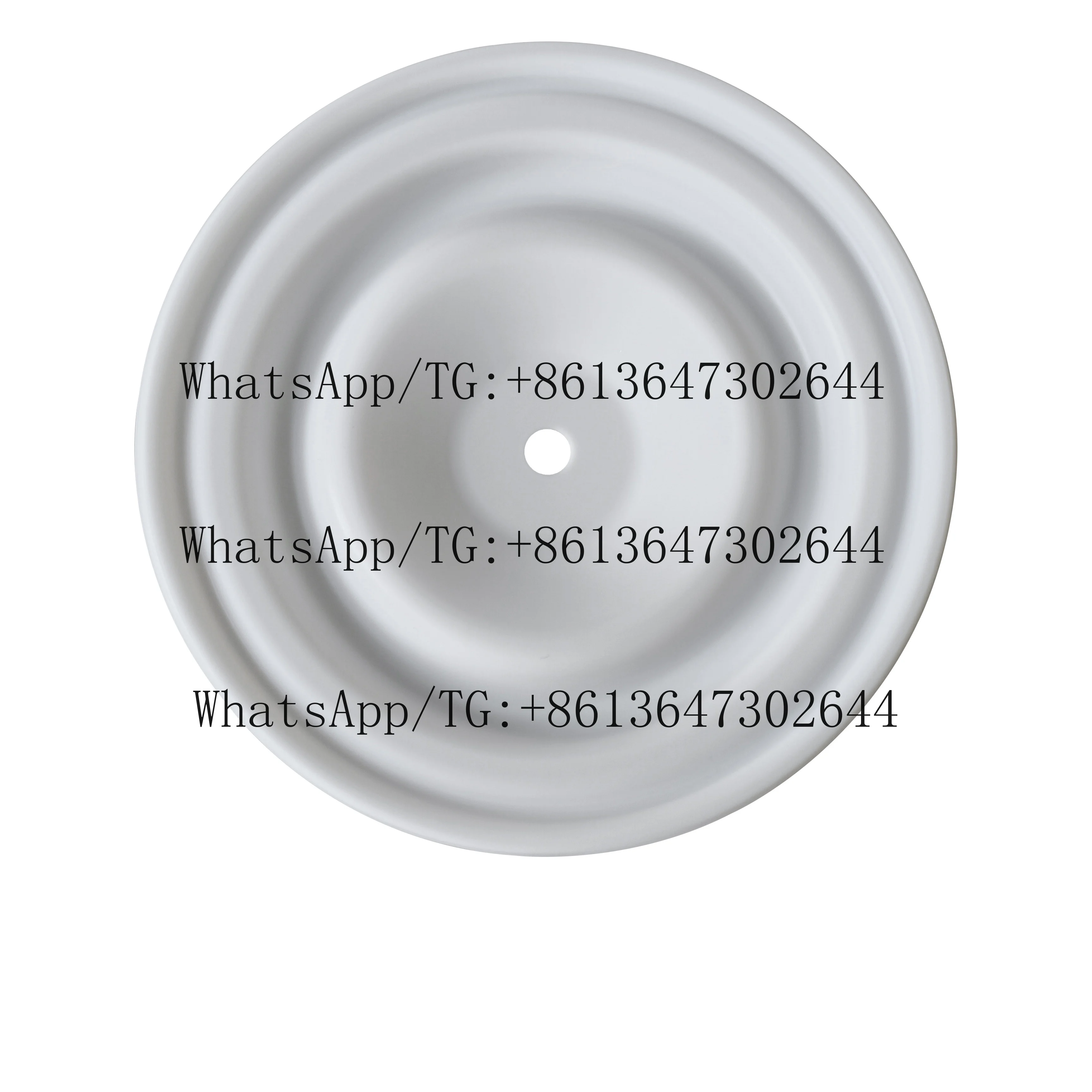 

PTFE Diaphragm 02-1040-55 for Pneumatic Diaphragm Pumps