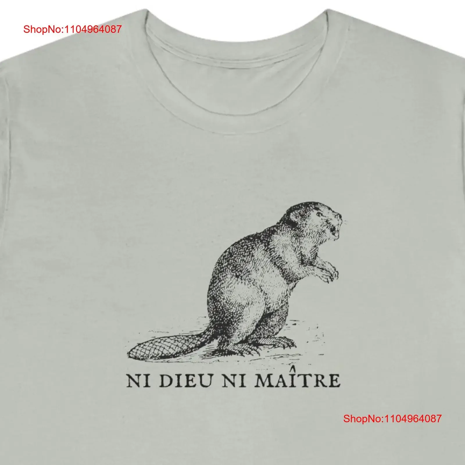 

French Anarchist Beaver no gods masters atheist funny secular LeftisT T Shirt vintage Washed Stretched Slightly Stylish
