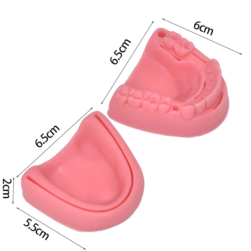 Dental Suture Model Oral Teeth Gum Suture Training X Surgical Practice Dental Wounds Dentist Teaching Model