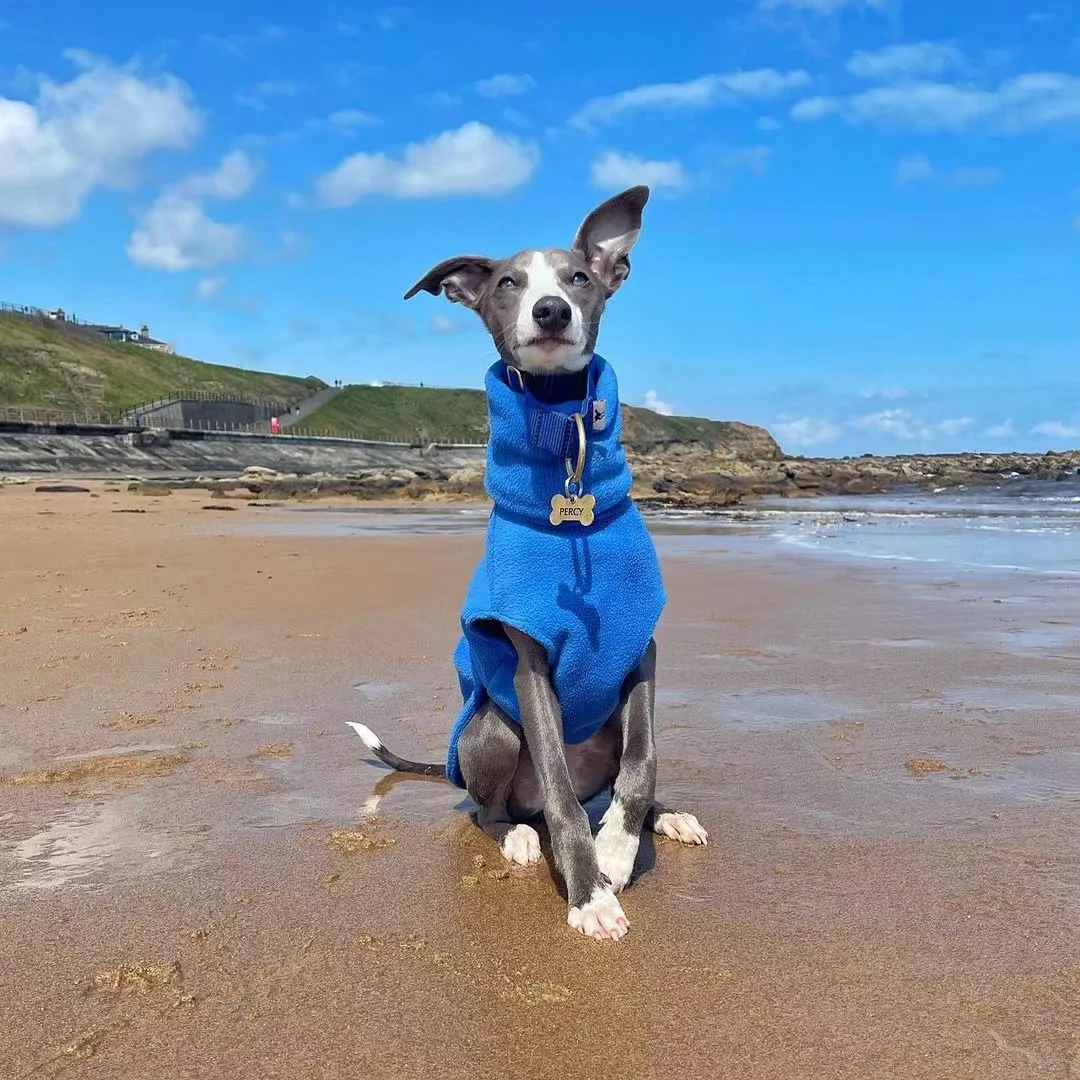 Chaleco de cuello alto para perro, ropa de invierno de lana suave, Galgo Italiano