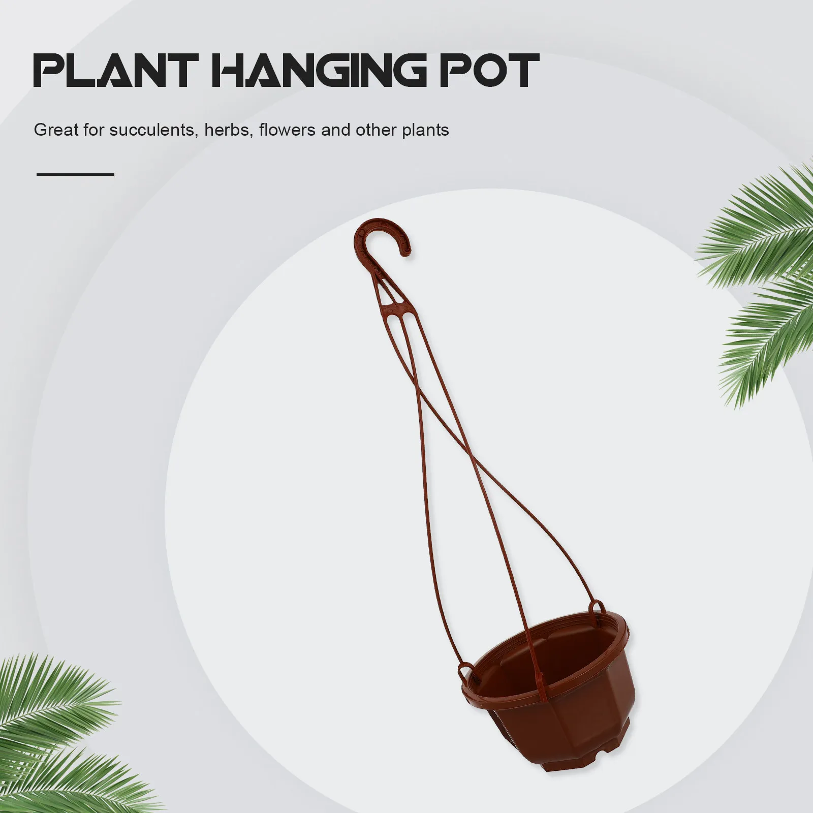 ชุดกระถางดอกไม้แบบแขวน 6 ชิ้น - Spider Plant Hanging บทวิจารณ์และราคา