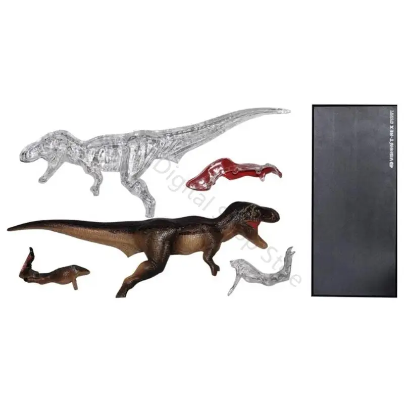 96BA PVC Tyrannosaurus Rex Science Model for Hands-On Anatomy Structure Observation