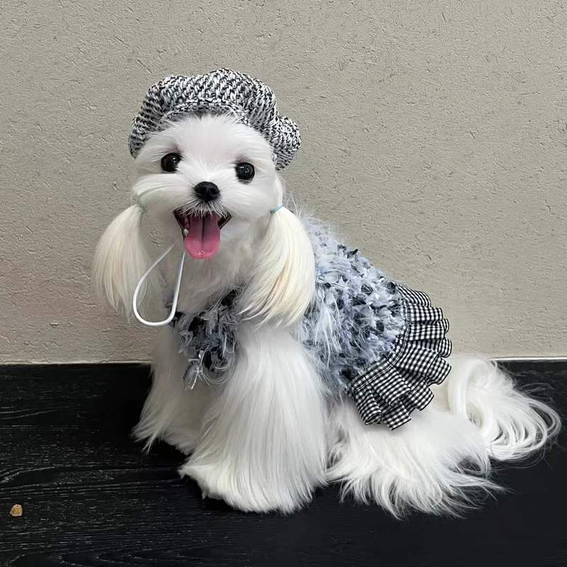 

Kawaii Dog Cat Hat Cute Oil Painting Hat Cat headdress Luxury Wool Beret for Small Dogs Yorkshire Teddy Schnauzer Bichon Frise