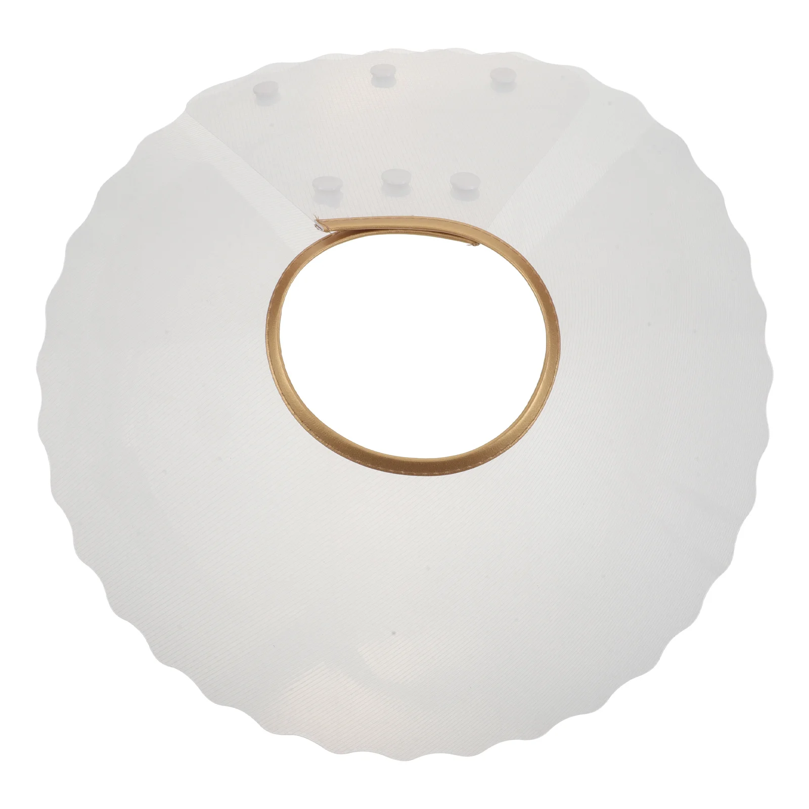 

Transparent Cat Recovery Collar Lightweight Adjustable Elizabethan Neck Cover for Surgery Healing Anti-Licking Biting Protection