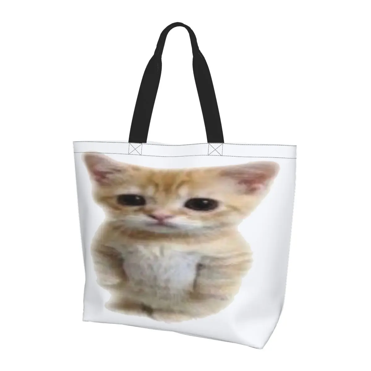 El Gato Standing Ca… - image