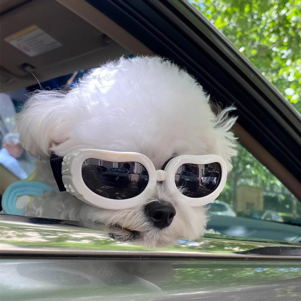 Retro Pilotenbrille für kleine Hunde, Fahrradbrille für Haustiere, Yorkshire Pinscher Sonnenbrille, Fotografie-Zubehör für Haustiere – Detail 7