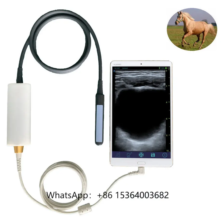 

USB Rectal Horse Cattle Cow Bovine Equine Pregnancy test Ultrasound Machine for Veterinary Use