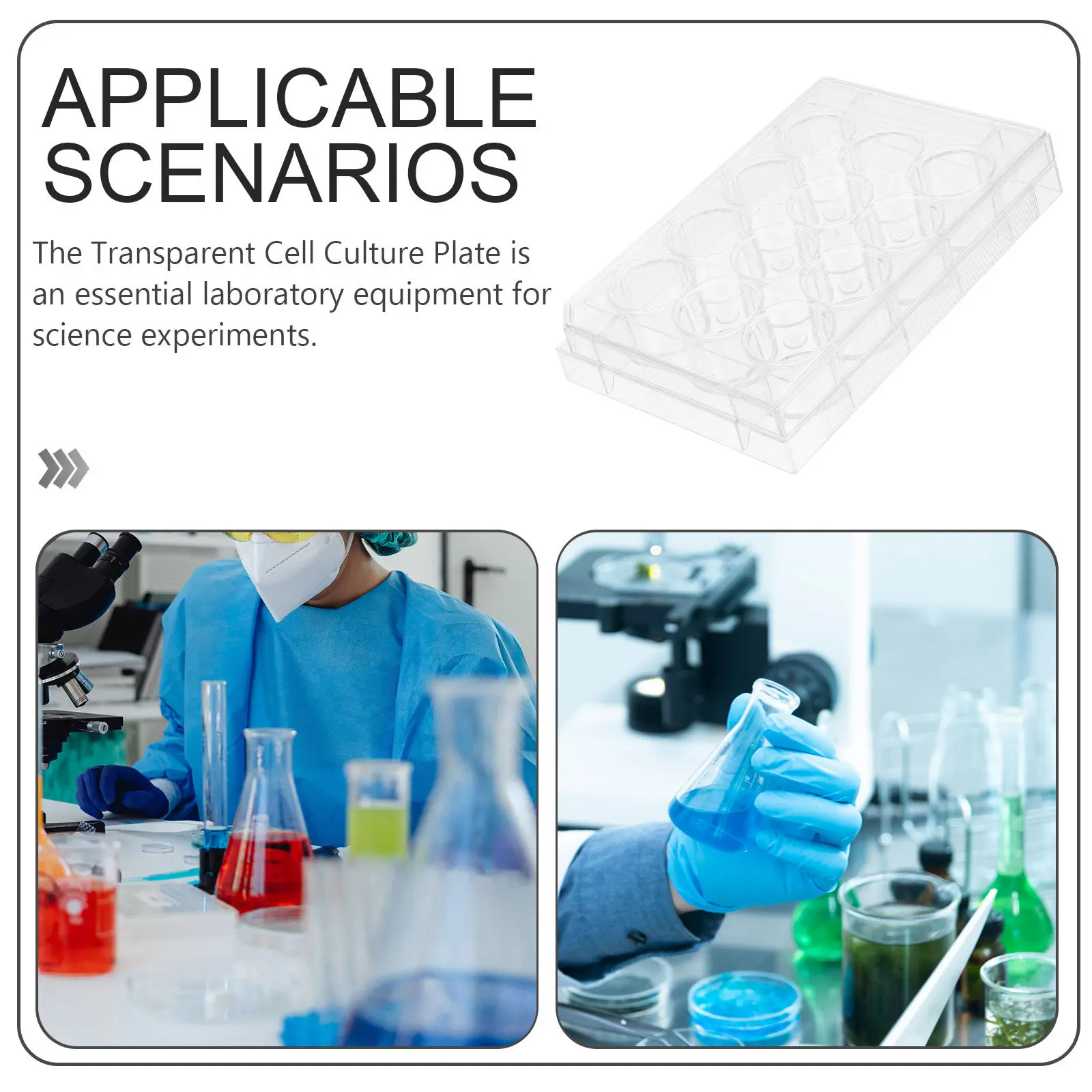 12 Well Culture Plate Transparent Plastic Lab Equipment for Tissue Culture Flat Surface Accurate Growth Tracking Multi