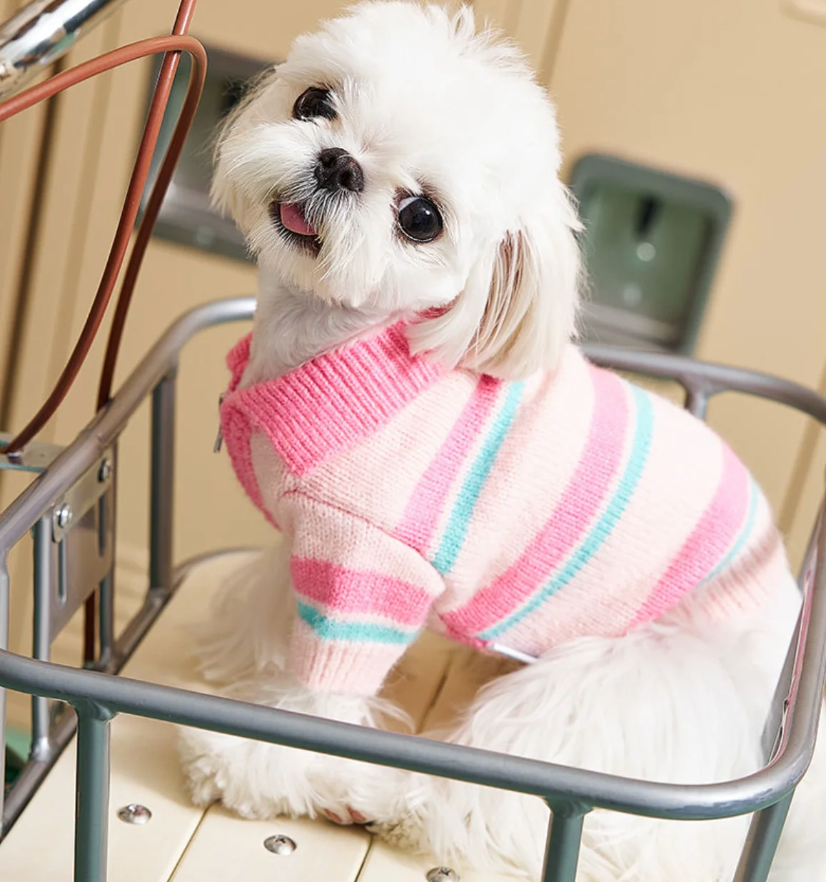 MOOKIPET striped polo zipper sweater Pet puppy Clothing small and medium-sized dog cat Autumn and winter warm clothes Chihuahu