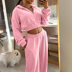 Zipper Hooded Pants Two Piece Set Casual Hoodie Women's Long Sleeved Plus Size Pullover Tops Elastic Trousers Solid Sweatshirts