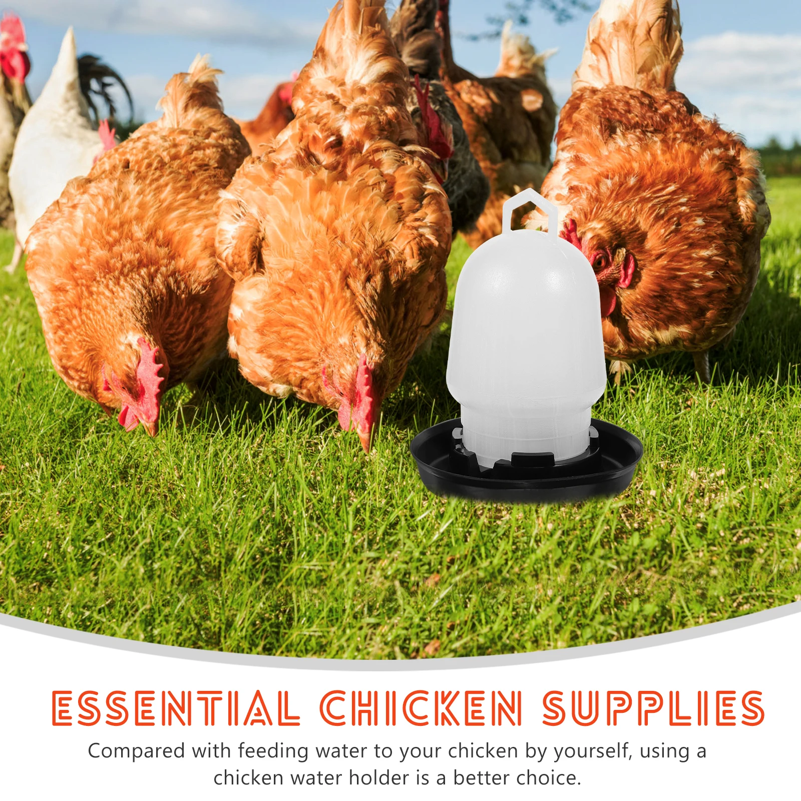 

Automatic Chicken Waterer 0 75kg Black Base Poultry Duck Feeder Trough Essential Supplies Coop Use Prevent Spoiling