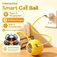 Smart Obstacle Avoidance Cat Ball Toy Adjustable Speed Electric Self Rolling Interactive Ball With Long Elastic Rope For Play 4