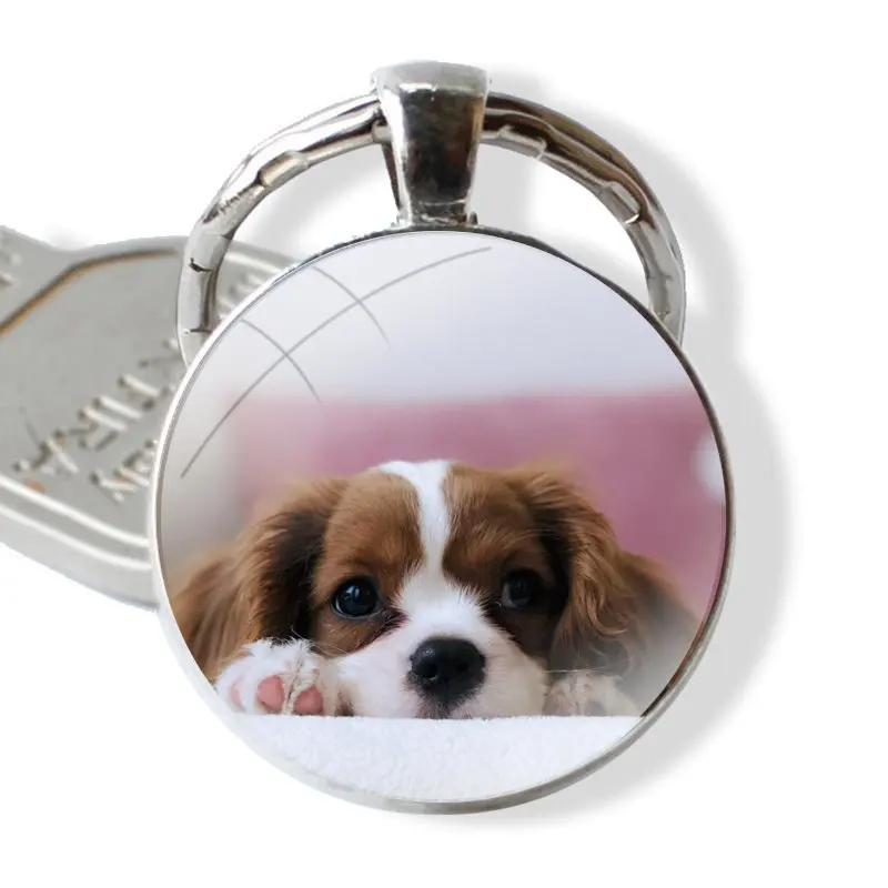 Keychain Handmade Glass Cabochon Key Ring Holder Pendant Key Chains Gift Fashion Cartoon Funny Cavalier King Charles Spaniel Dog