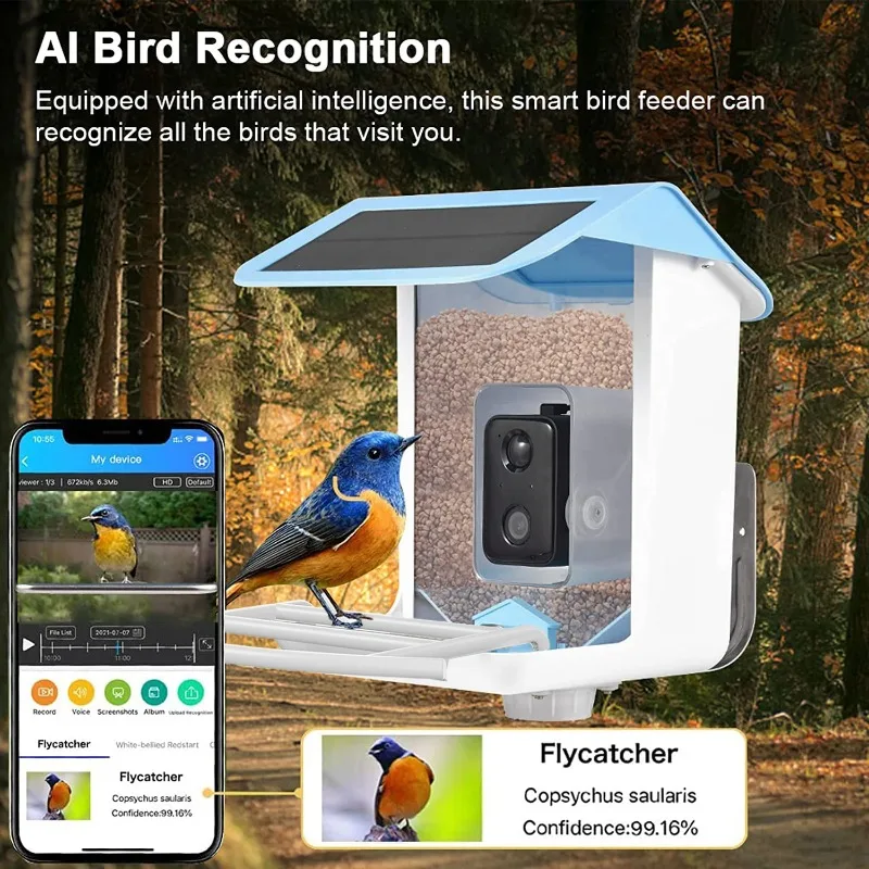 Solar Smart Bird Feeder with Camera 1080HD Night Vision Camera AI Recognition Bird Species Feeder Connection Auto Capture