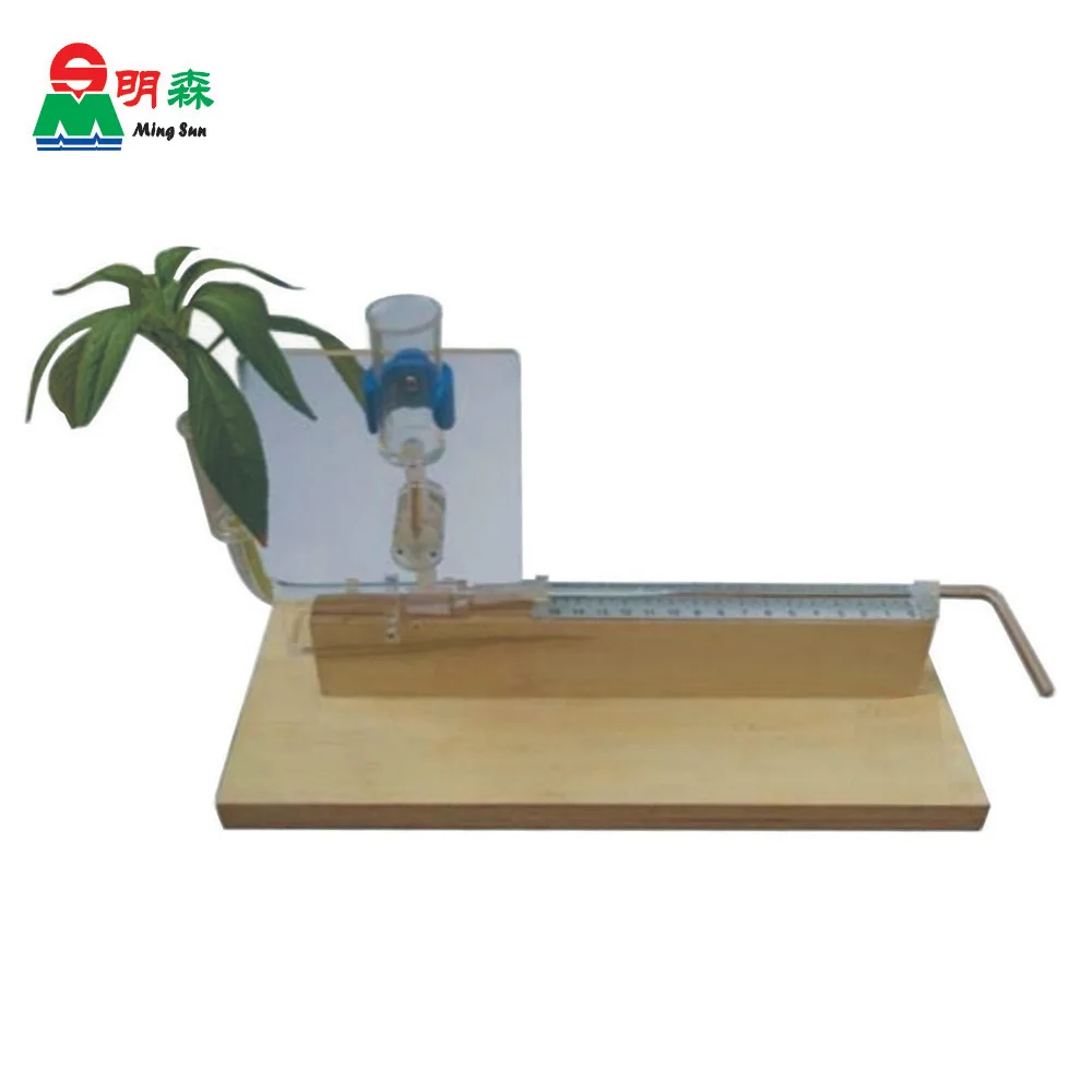 

Plant Transpiration Demonstration Photosynthesis Junior High School Biology Experiment Equipment Teaching Instrument