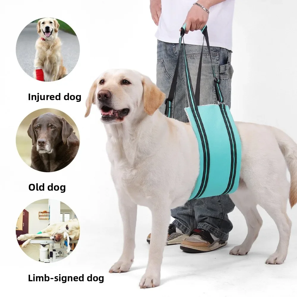 Dog Lift Harness Adjustable Dog Sling Multifunctional Mobility Assistance Weak Rear Legs Pet Aid Assist Tool for Elderly Dog